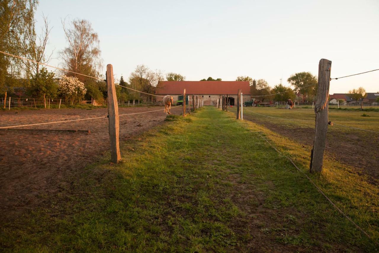 Lehnschulzenhof Viesen Rogasen Exterior photo